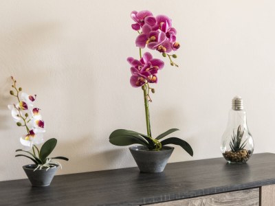 Villa Aeonios Luxury Villa - Features photo 17