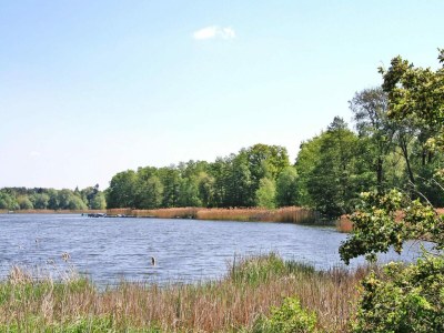 Holiday house Ferienhaus Storchennest 2, Falkensee - Outdoor photo 13