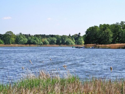 Holiday house Ferienhaus Storchennest 2, Falkensee - Outdoor photo 14