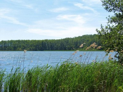 Holiday house Reihenhaus Seeblick, Sommersdorf - Outdoor photo 21