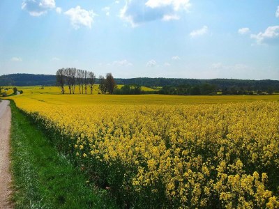 Holiday house Ferienhaus in Neukalen - Environment photo 9