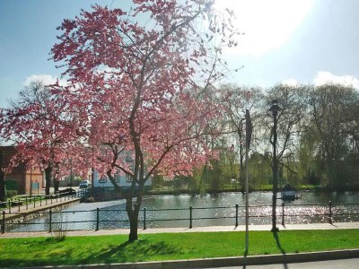 Holiday house Ferienhaus in Neukalen - Environment photo 11