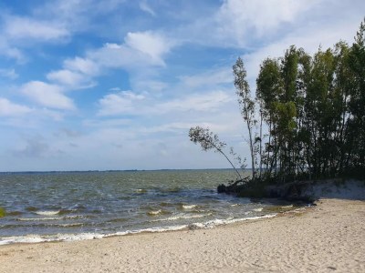 Holiday house Ferienhaus, Fuhlendorf - Environment photo 42