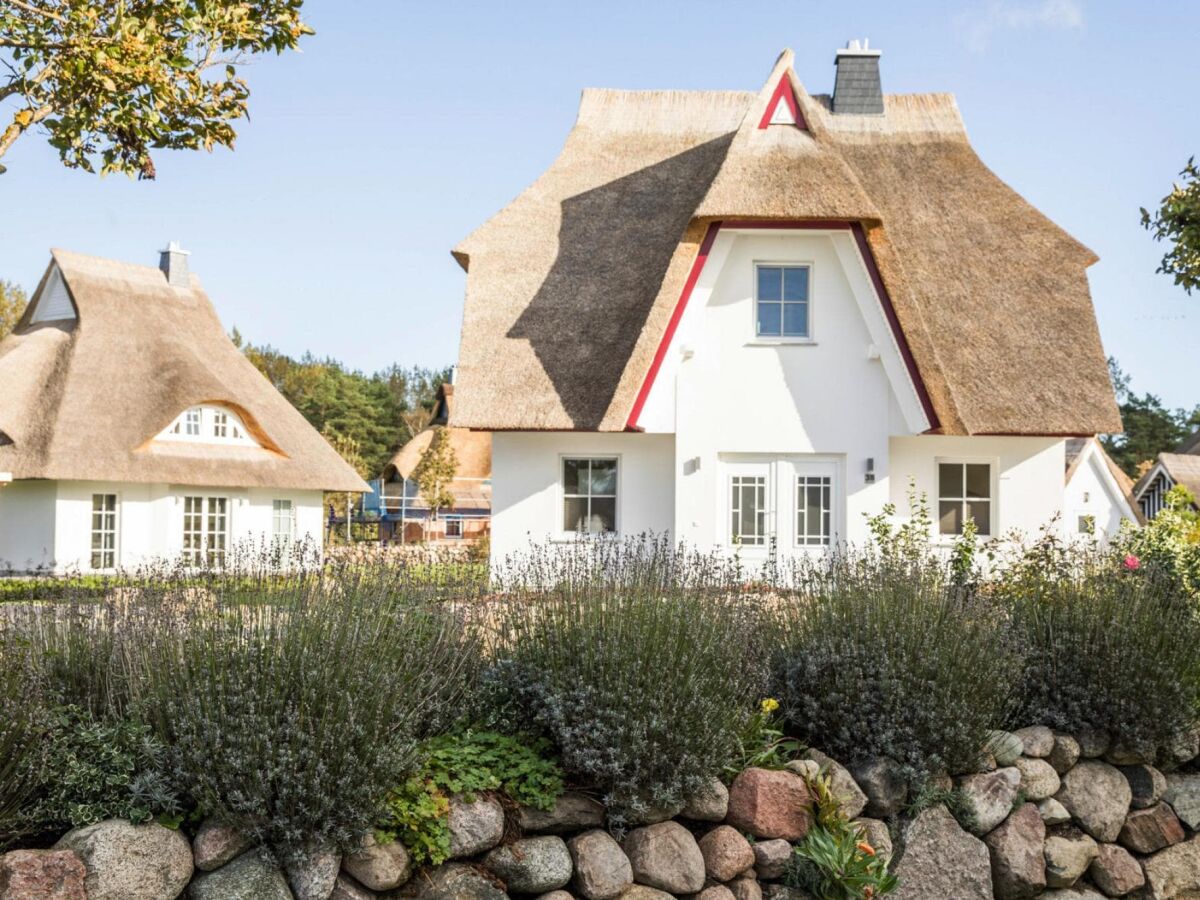 Holiday house Haus am Bodden mit Sauna - Outdoor photo 2