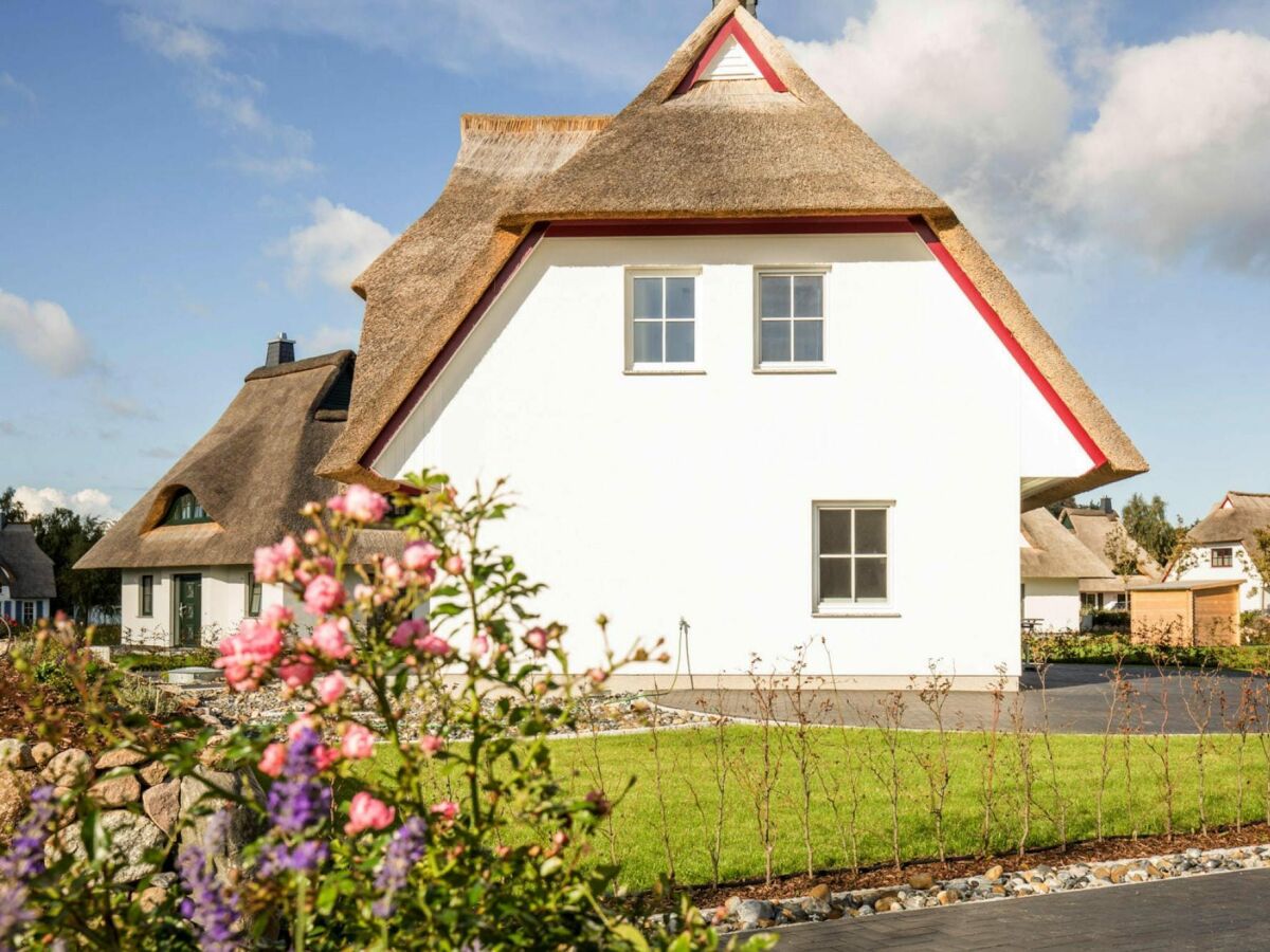 Holiday house Haus am Bodden mit Sauna - Outdoor photo 4