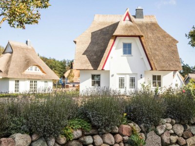 Holiday house Haus am Bodden mit Sauna - Outdoor photo 2