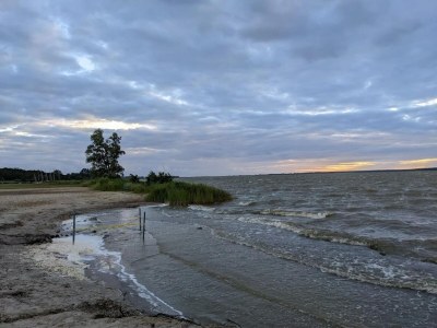 Holiday house Haus am Bodden mit Sauna - Environment photo 30