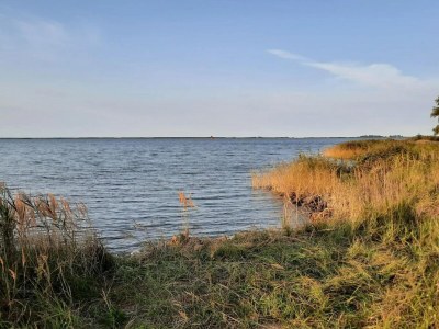 Holiday house Haus am Bodden mit Sauna - Environment photo 36