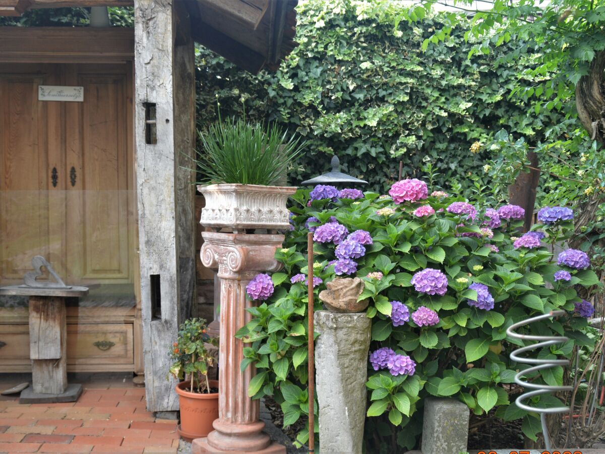 Holiday house Holiday home Burgblick - Outdoor photo 4