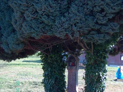 Holiday house Holiday home Burgblick - Environment photo 20