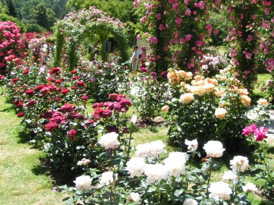 Holiday house Holiday home Burgblick - Environment photo 21