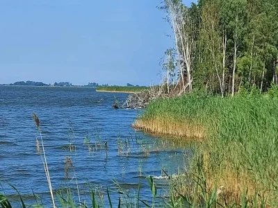 Holiday house Ferienhaus, Fuhlendorf - Environment photo 25