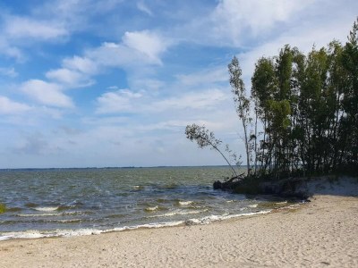 Holiday house Ferienhaus, Fuhlendorf - Environment photo 38