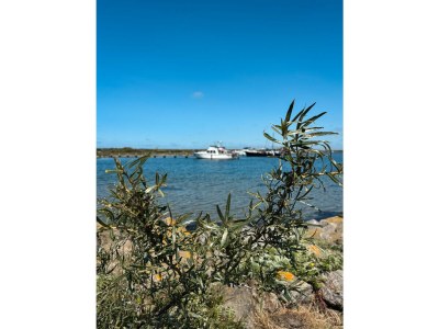 Holiday house Nordseepark Ouddorp - MÃ¼ntefehr - Environment photo 38