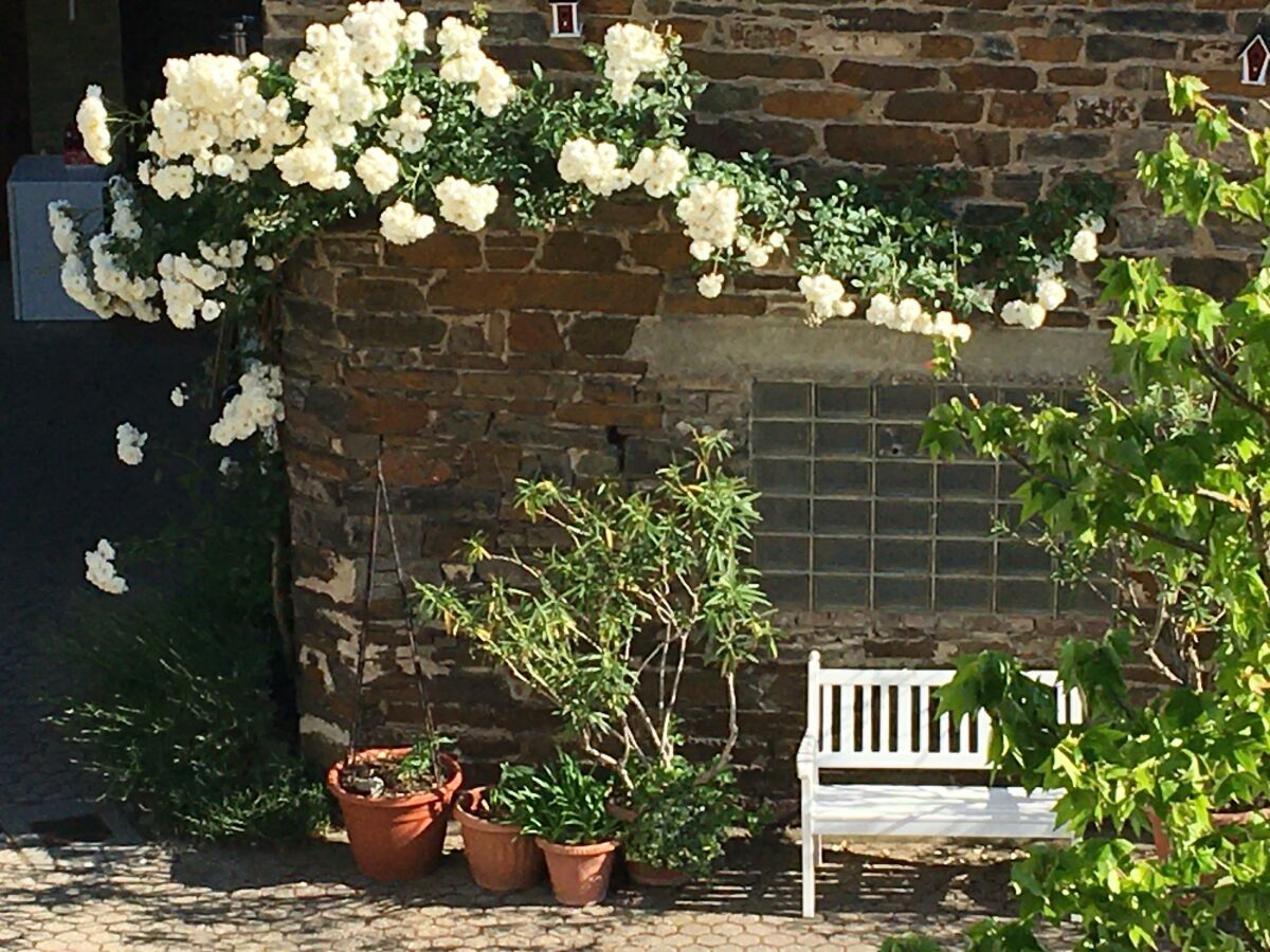 Apartment Ferienwohnung mit Dachterrasse - Outdoor photo 3