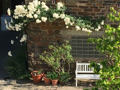 Apartment Ferienwohnung mit Dachterrasse - Outdoor photo 3