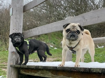 Apartment Ferienwohnung - Outdoor photo 20