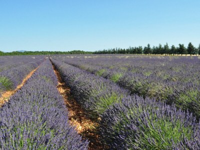Holiday house LE FERRAILLON - Environment photo 34
