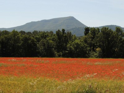 Holiday house LE FERRAILLON - Environment photo 35