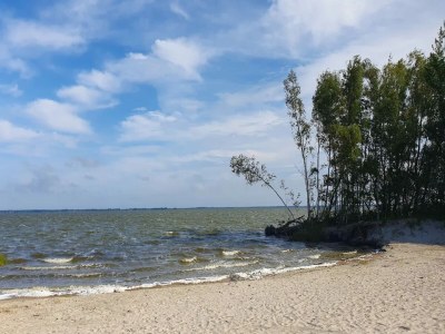 Holiday house Ferienhaus in Fuhlendorf - Environment photo 31