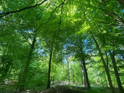 Holiday house Ferienhaus in Fuhlendorf - Environment photo 40