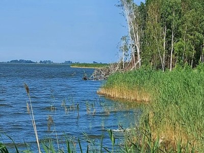 Holiday house Luxusferienhaus in Fuhlendorf mit Sauna - Environment photo 26