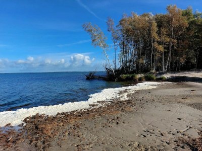 Holiday house Luxusferienhaus in Fuhlendorf mit Sauna - Environment photo 27
