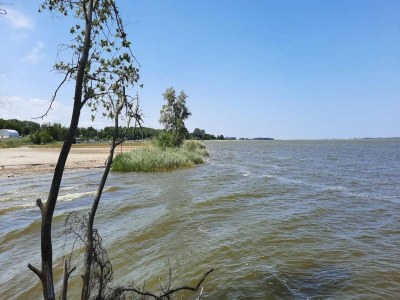 Holiday house Haus am Bodden mit Sauna - Environment photo 25