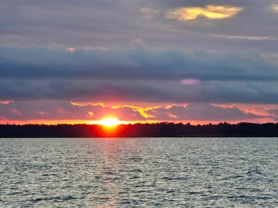 Holiday house Haus am Bodden mit Sauna - Environment photo 26