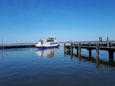 Holiday house Haus am Bodden mit Sauna - Environment photo 31