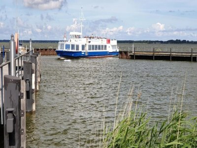 Holiday house Haus am Bodden mit Sauna - Environment photo 33