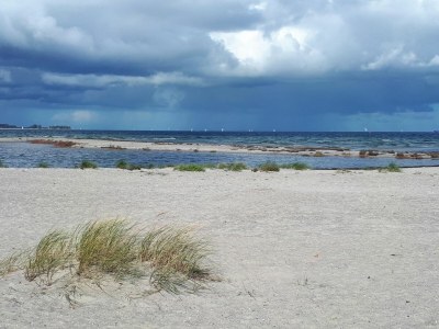 Holiday house Ferienhaus Möwe 12 Marina Wendtorf - Outdoor photo 19