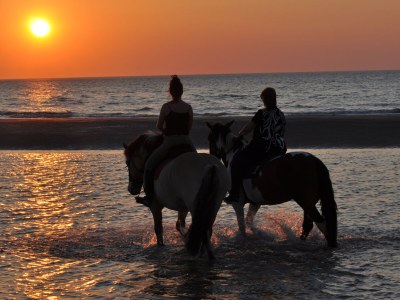 Holiday house Rivage 3 - Environment photo 23