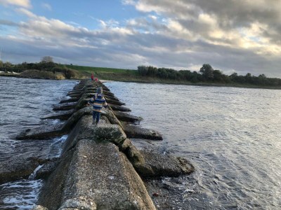 Holiday house Grevelingen House Zeeland - Environment photo 31