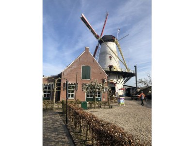 Holiday house Grevelingen House Zeeland - Environment photo 36