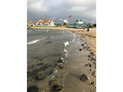 Holiday house Grevelingen House Zeeland - Environment photo 40