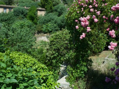 Holiday house MAISON PERCHEE - Environment photo 49