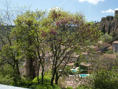 Holiday house MAISON PERCHEE - Environment photo 50