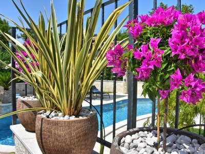 Villa Villa Zita Exclusive with Pool & Sauna - Outdoor photo 11