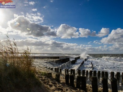 Holiday house Rivage 81 - Environment photo 31