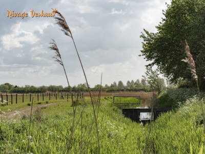 Holiday house Rivage 81 - Environment photo 33