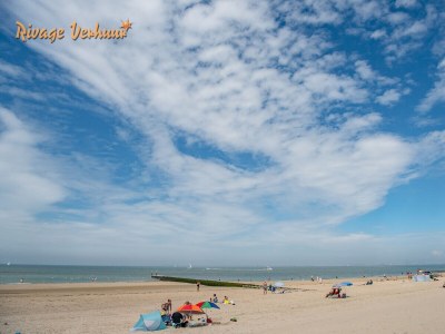 Holiday house Rivage 81 - Environment photo 39