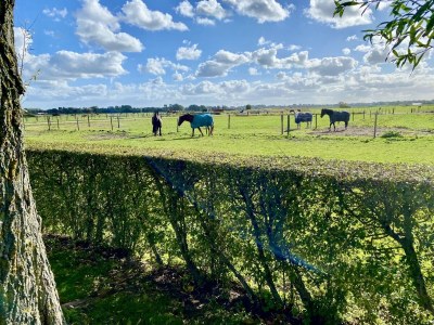 Holiday apartment Skuur Bergen - Outdoor photo 7