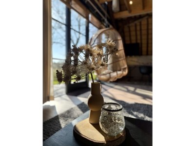 Holiday apartment Skuur Bergen - Features photo 24