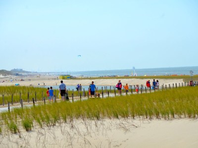 Holiday apartment Skuur Bergen - Environment photo 30