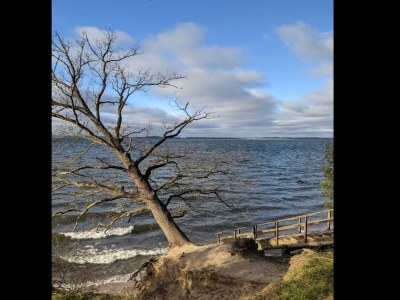 Holiday house Chalet in Wendorf - Environment photo 16