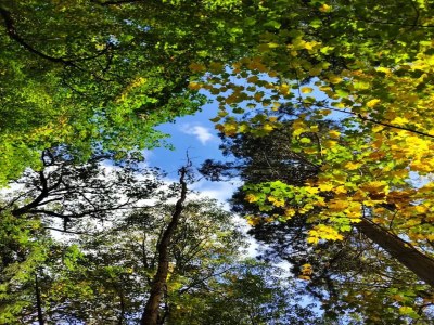 Holiday house Chalet in Wendorf - Environment photo 27