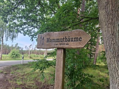 Holiday house Chalet in Wendorf - Environment photo 30