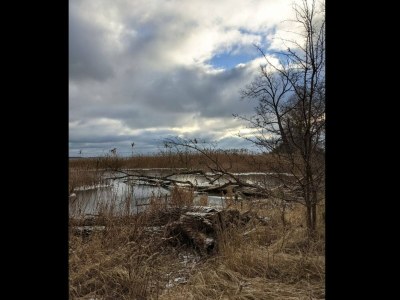 Holiday house Chalet in Wendorf - Environment photo 37