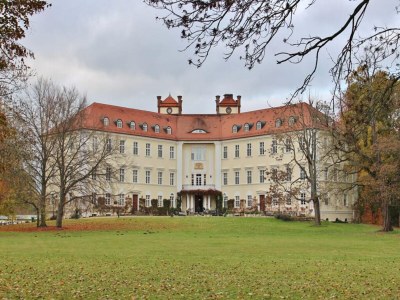 Holiday house Chalet in Wendorf - Environment photo 26